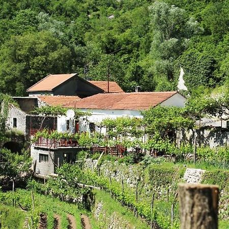 Country House Dajkovic Dupilo Exterior foto
