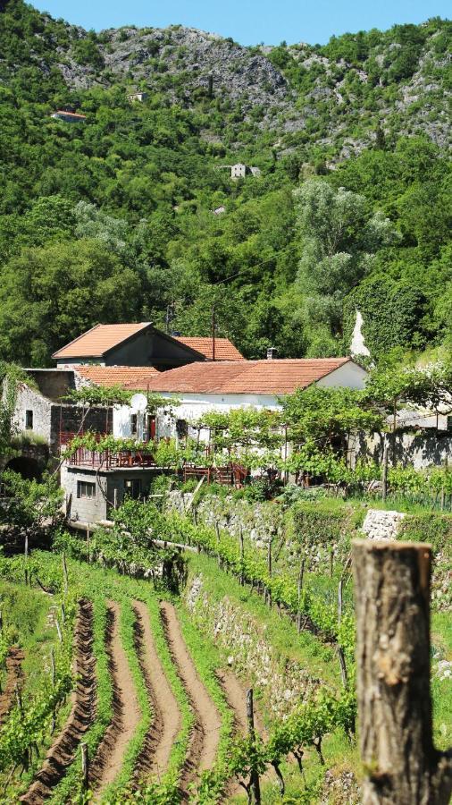 Country House Dajkovic Dupilo Exterior foto